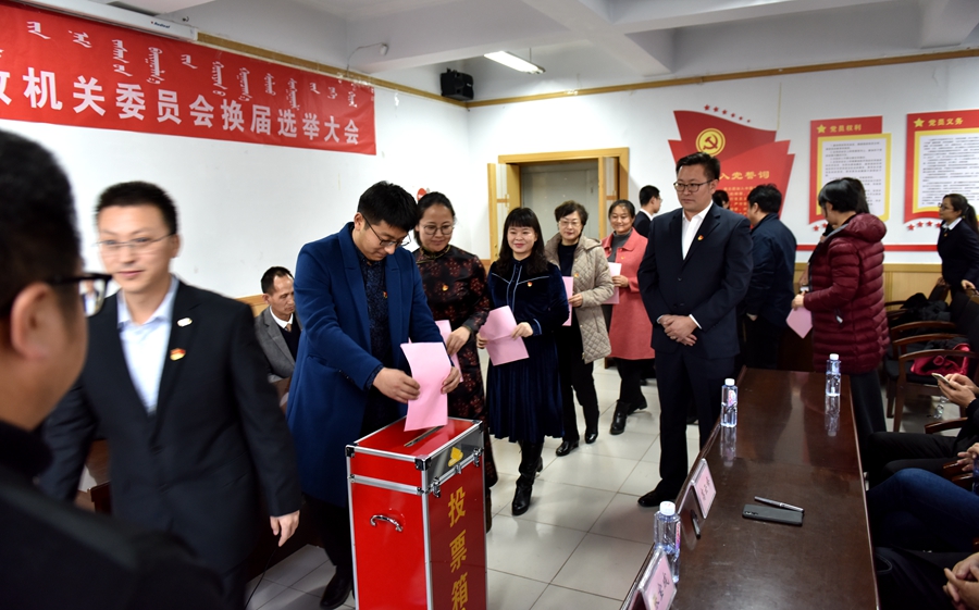 党政机关党委召开换届选举大会
